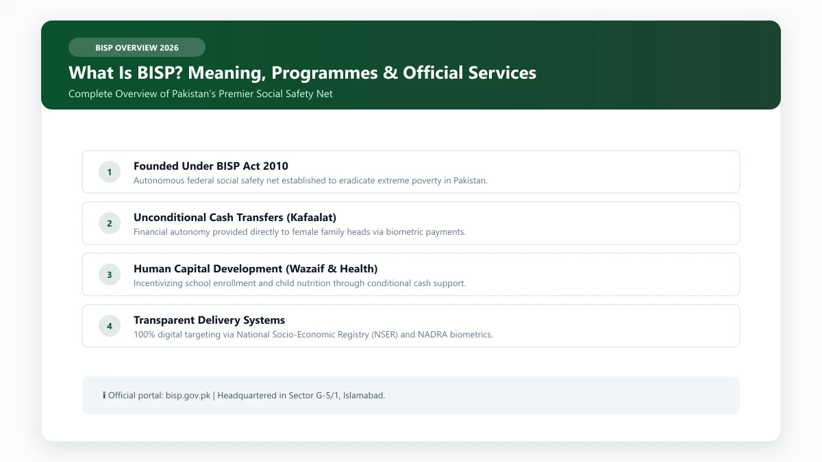 BISP Benazir Income Support Programme overview structure and social protection grants